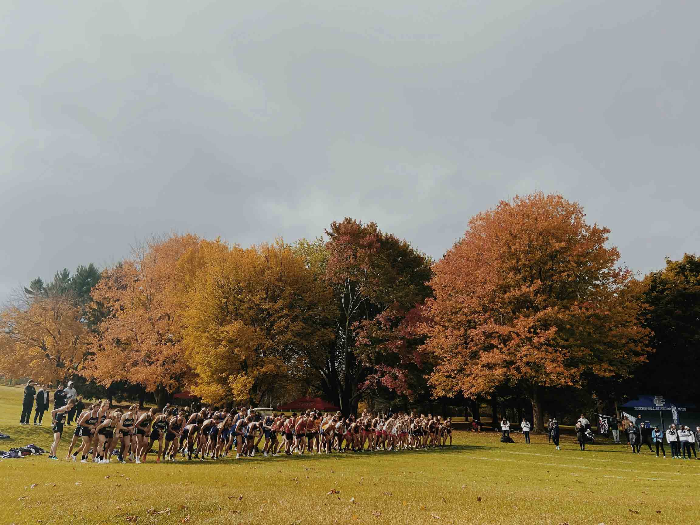 regional girls cross country event