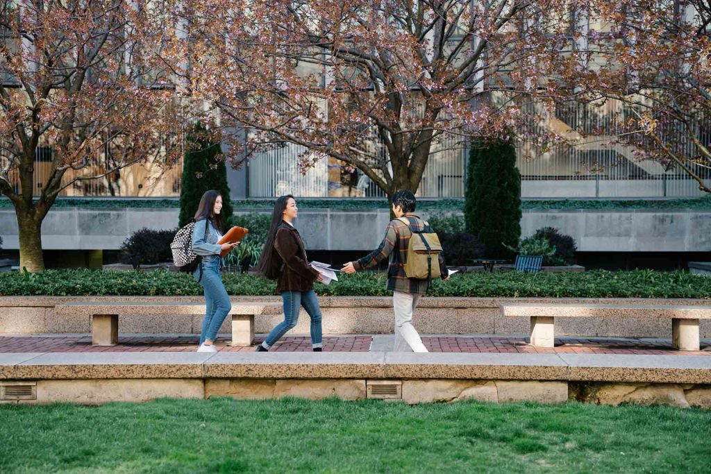 Students greeting one another on a school campus