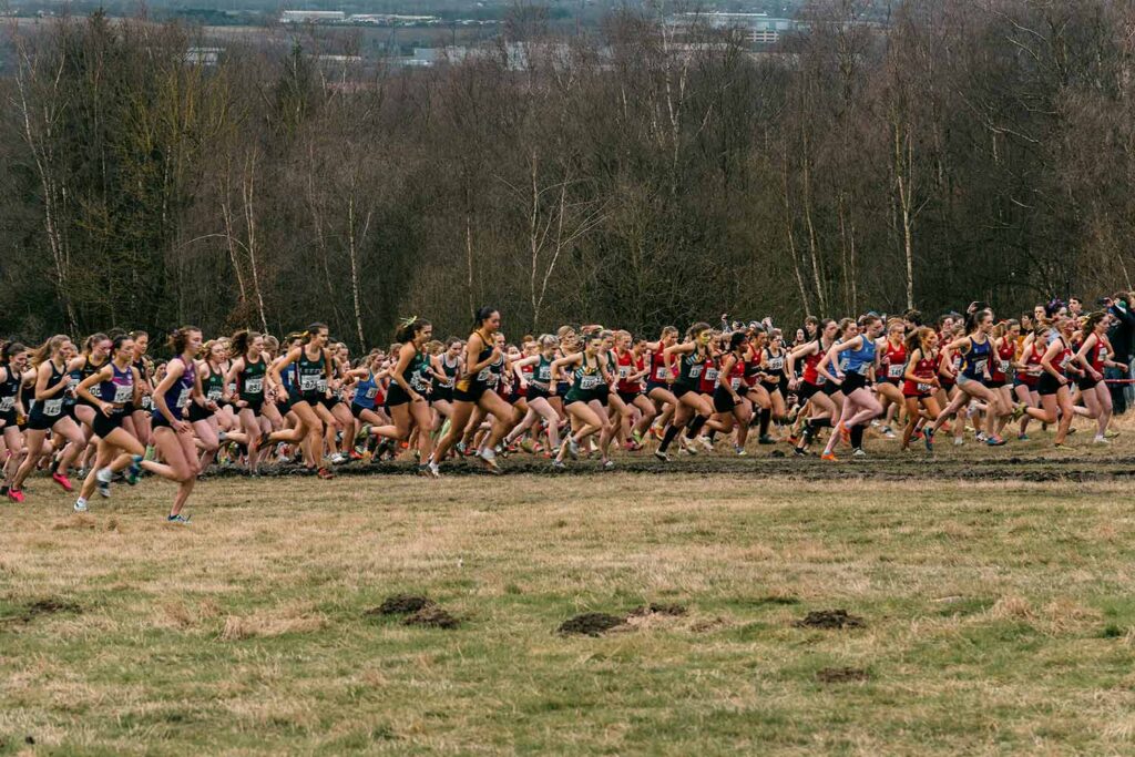 Girls gather at the starting line at a cross country meet